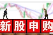 我的股票账户参考市值有1,9万。为什么新股申购额度为0,股票一键打新什么意思