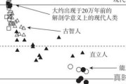 全度妍付出最大的电影,韩国最新电影上映时间表中文字幕