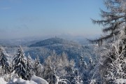 河南周口冬天的天气是怎样的，有没有下雪，温_周口天气预报准确吗