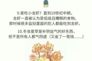 十三届北京电影节闭幕式什么时候_华表奖直播什么时候重播