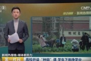 各省给压岁钱福建最多，小孩均可收到12000元！广东最少只有50，您怎样看