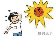 夏天气血不足怎么补