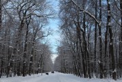 景德镇的天气在冬天会下雪吗,江西景德镇天气