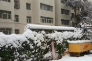 2018年苏州下了第一场雪，你所在的城市下雪了吗，你期待下雪吗