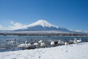 请问春节去日本东京，富士山会很冷吗？那边的天气和北京的冬季差不多吗？谢谢