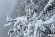 冬天适合去万源八台山玩吗，四川万源天气