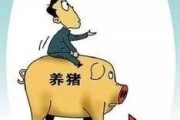 辽宁省今日猪肉价格表