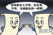 科技创新查重报告