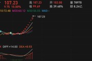 恒立实业再度涨停，13个交易日12个涨停，你怎么看