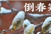 各地实时天气预报