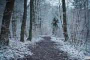 灵宝下雪的原因,灵宝的天气