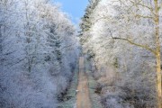 贵州2月份天气冷吗适合旅游吗，织金县天气