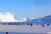 厦门天气什么时候才冷,厦门旅游天气