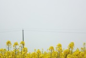 桐柏县遭强降雨2005年几月几日,桐柏县天气