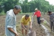 这几天都拿农民跟工人比，大家咋看