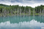 唐山花海票价_唐山花海景区什么时候开放