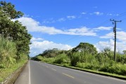 岗青公路起点终点,宛城区 天气