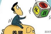 今日河北省价格是多少