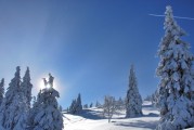 带雪的游戏名有哪些，十个热门游戏推荐女生名字带雪字