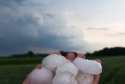 遵义南白会下冰雹吗,汇川天气