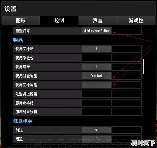 pubg游戏设置，绝地求生改为热门游戏怎么改 - 真时天下