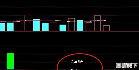 股民小马股市短线精髓，怎样成为股票短线高手赚钱 - 真时天下