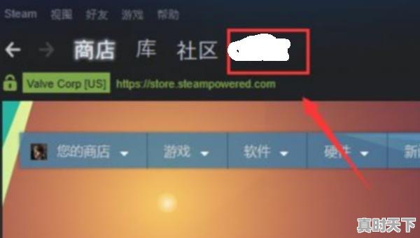 steam怎么改昵称，热门游戏改名字怎么改不了 - 真时天下