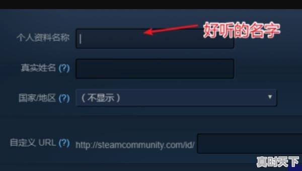 steam怎么改昵称，热门游戏改名字怎么改不了 - 真时天下