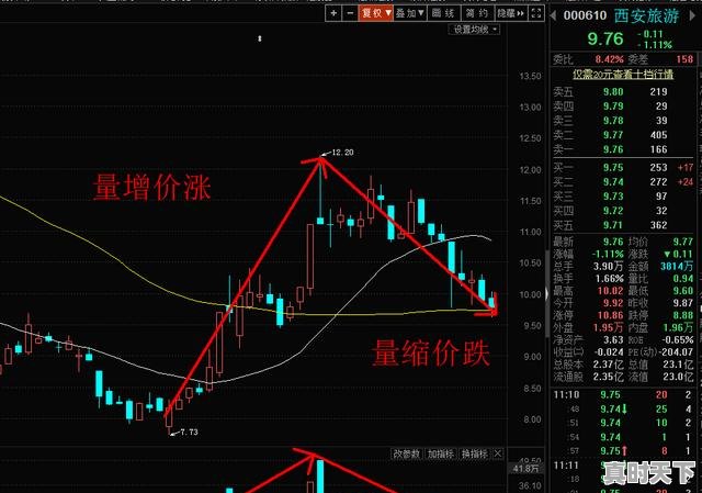 股市中交易量放大但股价却下跌是为什么呢?谢谢，主力买入大于卖出股票却大跌 - 真时天下