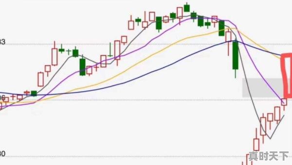 巩俐和史可谁高，巩俐戛纳电影节帮她清场了吗 - 真时天下