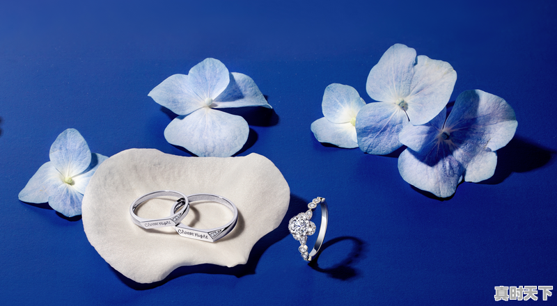 1、2023白金回收多少一克,今日白金价格 - 真时天下