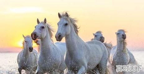 1、如何实现股票投资风险最小，怎么玩股票能保证不赔钱 - 真时天下