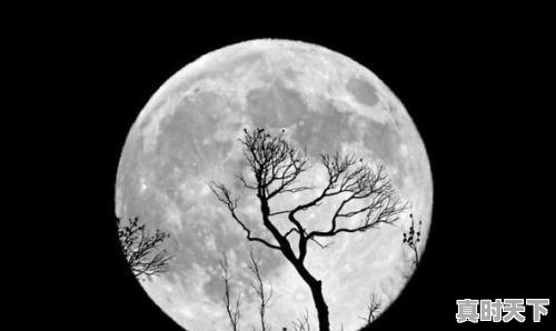 1、谁知道《白月光》歌词的意思,白月光张信哲北京电影节 - 真时天下