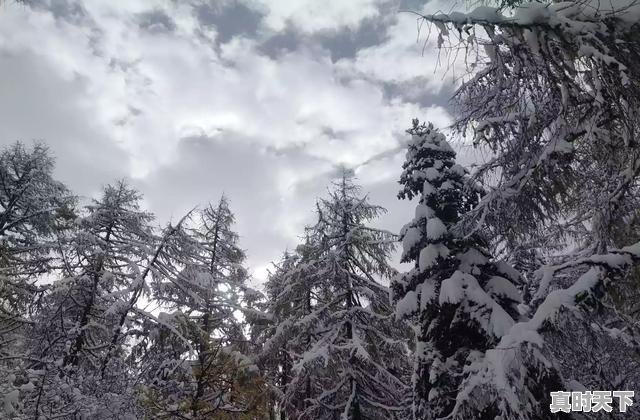 毕棚沟八月份能看到雪山吗，毕棚沟天气 - 真时天下