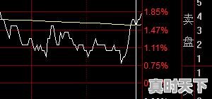 1、什么叫尾盘买入，股票尾盘买入技巧详解 - 真时天下