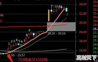 戛纳门票，戛纳电影节怎么买票进去 - 真时天下