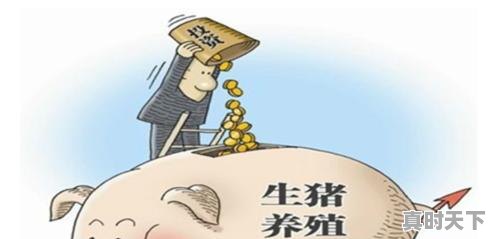 1、请问全国最大最好的养猪畜牧公司都有哪些推荐，青岛生猪价格今日猪价 - 真时天下