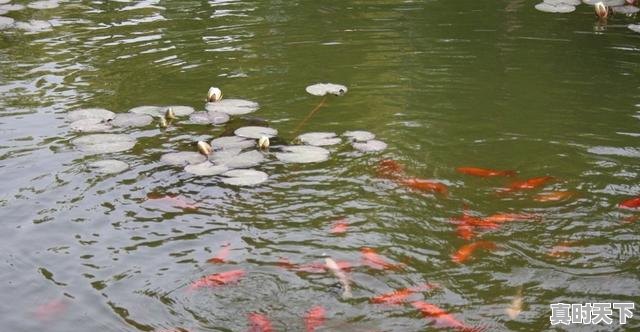 2、纳米科技布沙发优缺点,持续强化科技创新优势和劣势 - 真时天下