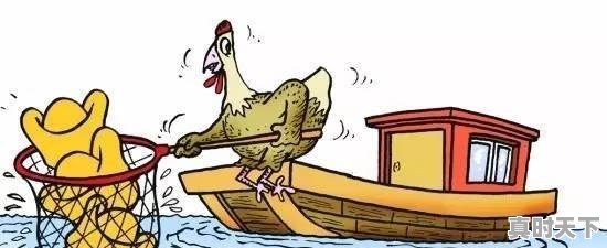 2、在股票下跌的时候买对吗,股票跌了应该卖吗 - 真时天下