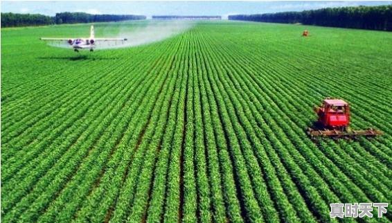 1、马云说:致富未来在农村,那么农村创业有哪些方法,名山今日生猪价格 - 真时天下