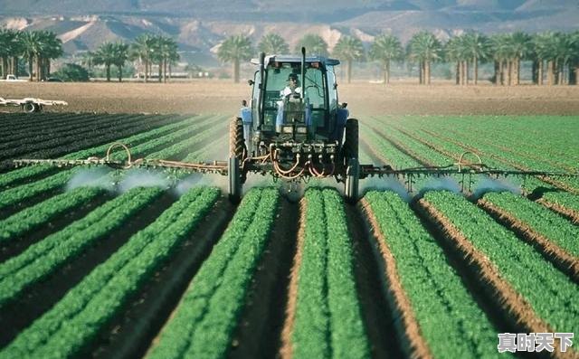 6、马云说:致富未来在农村,那么农村创业有哪些方法,名山今日生猪价格 - 真时天下