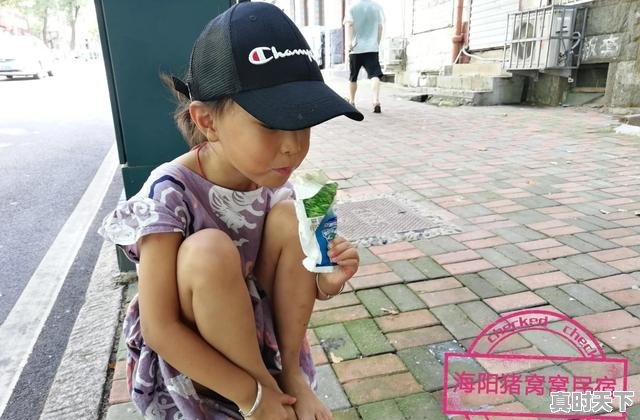 1、海阳谁家饭馆的饺子好吃,今日海阳生猪价格 - 真时天下