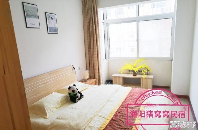 2、海阳谁家饭馆的饺子好吃,今日海阳生猪价格 - 真时天下