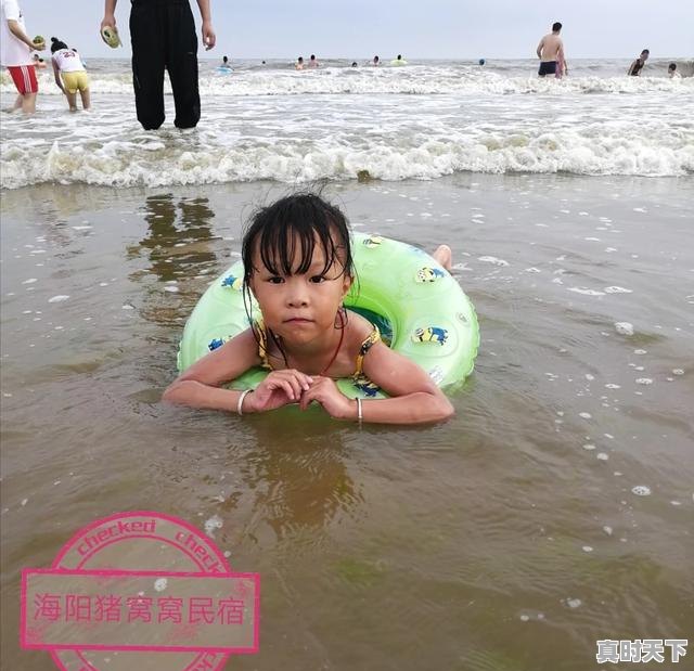 3、海阳谁家饭馆的饺子好吃,今日海阳生猪价格 - 真时天下
