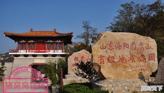 5、海阳谁家饭馆的饺子好吃,今日海阳生猪价格 - 真时天下