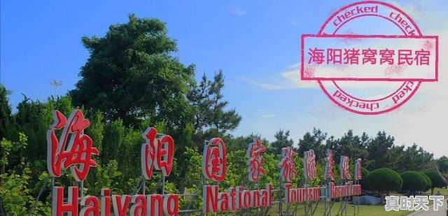 4、海阳谁家饭馆的饺子好吃,今日海阳生猪价格 - 真时天下