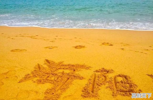 7、海阳谁家饭馆的饺子好吃,今日海阳生猪价格 - 真时天下