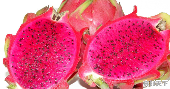 9、海阳谁家饭馆的饺子好吃,今日海阳生猪价格 - 真时天下