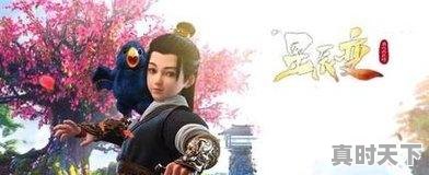 4、一打怪物就爆衣的动漫叫什么，热血奇幻战斗动漫推荐哪个 - 真时天下