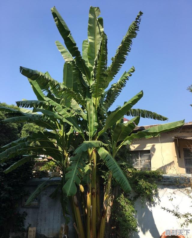 2、我想出去旅游，不知道去哪好，有哪些推荐吗，热门游戏在哪里玩好一点 - 真时天下